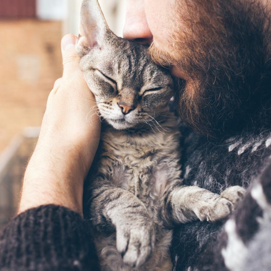 a person holding a cat